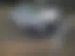 Vehicle Image- 2018 Toyota Prius