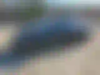 Vehicle Image- 2016 Toyota Prius