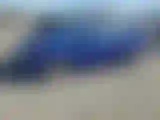 Vehicle Image- 2016 Toyota Prius