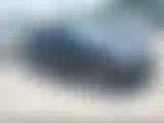 Vehicle Image- 2017 Toyota Prius