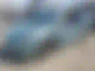 Vehicle Image- 2016 Toyota Prius