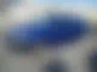 Vehicle Image- 2016 Toyota Prius