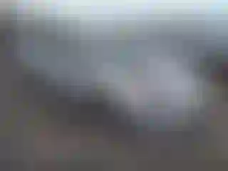 Vehicle Image- 2017 Toyota Prius