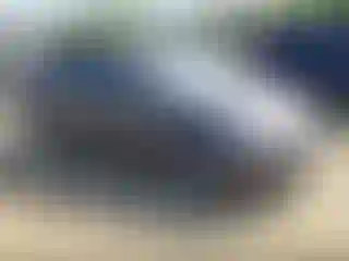 Vehicle Image- 2016 Toyota Prius
