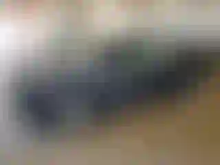 Vehicle Image- 2016 Toyota Prius