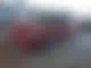 Vehicle Image- 2017 Toyota Prius