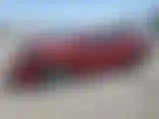 Vehicle Image- 2017 Toyota Prius