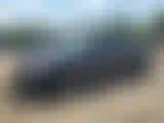Vehicle Image- 2016 Toyota Prius