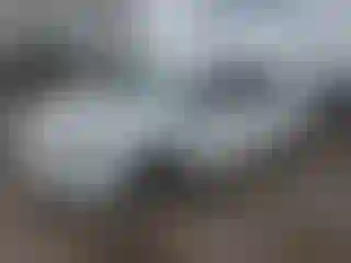 Vehicle Image- 2016 Toyota Prius
