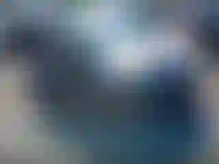 Vehicle Image- 2017 Toyota Prius