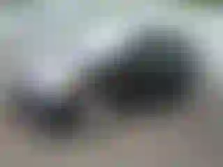 Vehicle Image- 2014 Toyota Prius