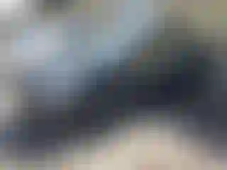 Vehicle Image- 2016 Toyota Prius