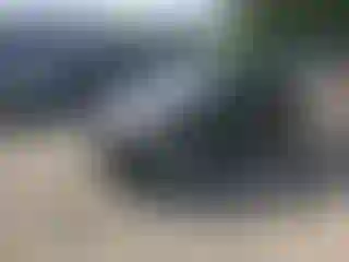 Vehicle Image- 2015 Toyota Prius