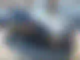 Vehicle Image- 2016 Toyota Prius