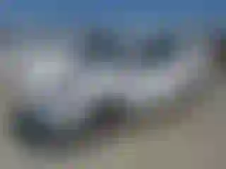 Vehicle Image- 2019 Toyota Prius