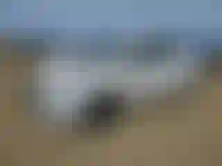 Vehicle Image- 2015 Toyota Prius