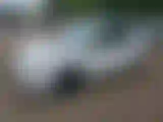 Vehicle Image- 2012 Toyota Prius