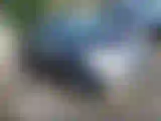 Vehicle Image- 2013 Toyota Prius