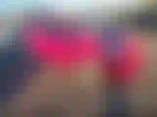 Vehicle Image- 2013 Toyota Prius