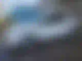 Vehicle Image- 2016 Toyota Prius