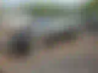 Vehicle Image- 2017 Toyota Prius
