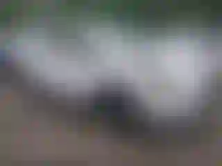 Vehicle Image- 2018 Toyota Prius