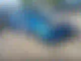 Vehicle Image- 2018 Toyota Prius