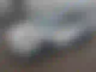 Vehicle Image- 2018 Toyota Prius