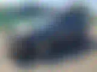 Vehicle Image- 2016 Toyota Prius