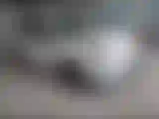 Vehicle Image- 2018 Toyota Prius