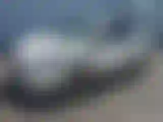 Vehicle Image- 2016 Toyota Prius