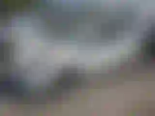 Vehicle Image- 2016 Toyota Prius