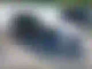 Vehicle Image- 2015 Toyota Prius