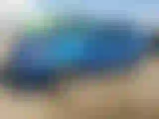 Vehicle Image- 2014 Toyota Prius