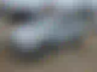 Vehicle Image- 2017 Toyota Prius
