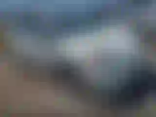 Vehicle Image- 2012 Toyota Prius