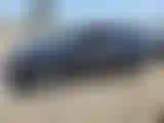 Vehicle Image- 2014 Toyota Prius