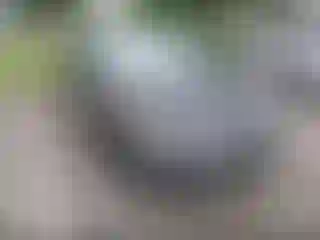 Vehicle Image- 2012 Toyota Prius