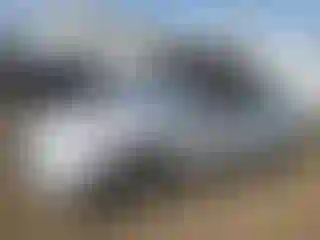 Vehicle Image- 2013 Toyota Prius