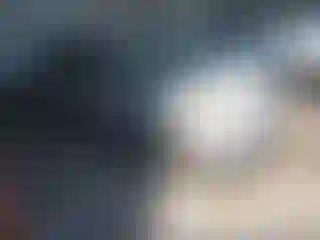 Vehicle Image- 2010 Toyota Prius