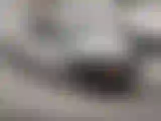 Vehicle Image- 2010 Toyota Prius