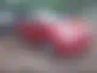 Vehicle Image- 2010 Toyota Prius