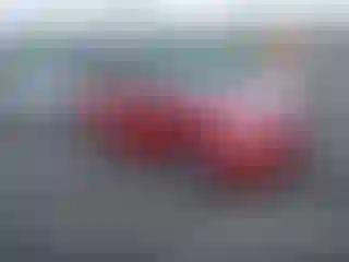 Vehicle Image- 2010 Toyota Prius
