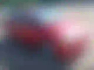 Vehicle Image- 2010 Toyota Prius