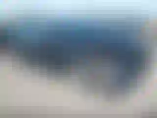 Vehicle Image- 2010 Toyota Prius