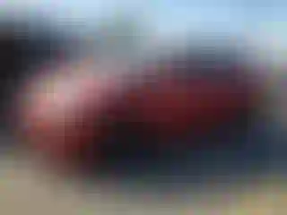 Vehicle Image- 2010 Toyota Prius