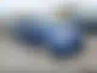 Vehicle Image- 2010 Toyota Prius