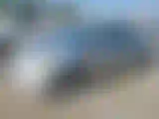 Vehicle Image- 2010 Toyota Prius