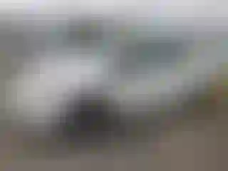 Vehicle Image- 2011 Toyota Prius
