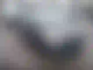 Vehicle Image- 2011 Toyota Prius